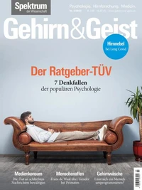 Gehirn&amp;Geist 3/2023 Der Ratgeber-TÜV