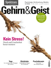 Gehirn&amp;Geist 5/22 - Kein Stress!