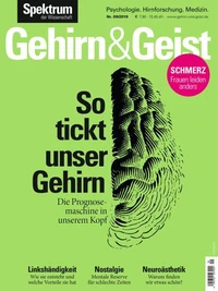 Gehirn&amp;Geist 9/2019 -So tickt unser Gehirn