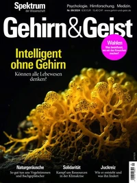 Gehirn&amp;Geist 9/2024 Intelligent ohne Gehirn