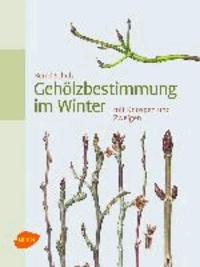 Gehölzbestimmung im Winter - mit Knospen und Zweigen.
