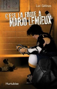 C'est la faute a mario lemieux v 02