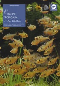 Les poissons tropicaux d'eau douce