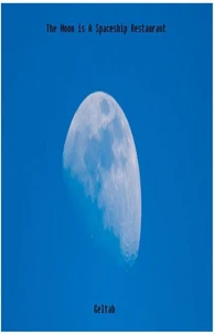 The Moon Is A Spaceship Restaurant