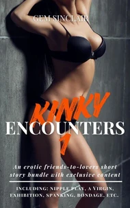 Kinky Encounters 1