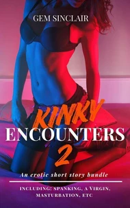 Kinky Encounters 2