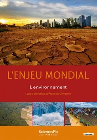 L'enjeu mondial