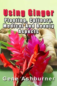Using Ginger – Planting, Culinary, Medical And Beauty Aspects
