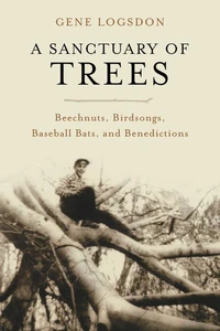 A Sanctuary of Trees