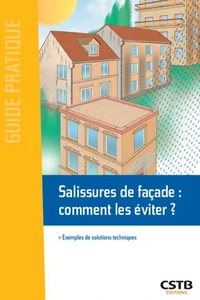 Salissures de façades : comment les éviter ?