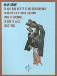 Ce qui est resté d'un Rembrandt déchiré en petits carrés bien réguliers, et foutu aux chiottes