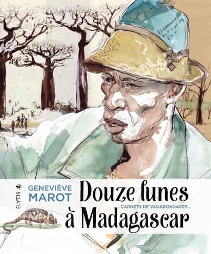 Douze lunes à Madagascar. Carnets de vagabondages