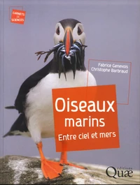 Oiseaux marins