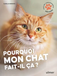 Pourquoi mon chat fait-il ça ?