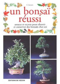 Un Bonsai Reussi