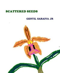 Scattered Seeds