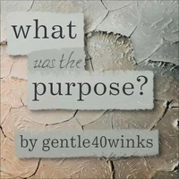 What was the Purpose?