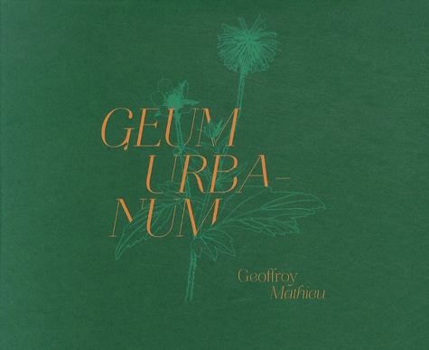 Geoffroy Mathieu - Geum urbanum.