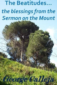 The Beatitudes… the Blessings from the Sermon on the Mount