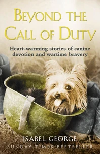 Beyond the Call of Duty