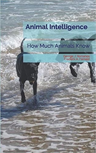 Animal Intelligence. How Much Animals Know