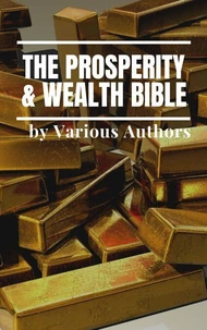 The Prosperity &amp; Wealth Bible