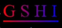 The Site Wars: A Dot-Com Story of GameSharks, Site Wars, and a Hacking Community Called GSHI