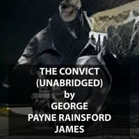 The Convict (UNABRIDGED)