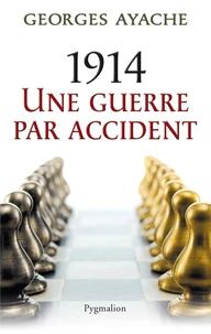 1914 une guerre par accident