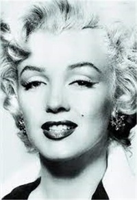 Georges Belmont - Silver Marilyn - Marilyn Monroe and the Camera.