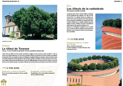 Arbres d'exception. Les 500 plus beaux arbres de France