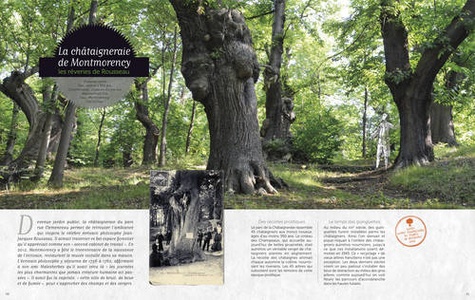 Histoires d'arbres remarquables