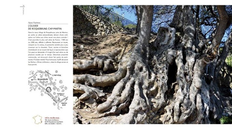 Rendez-vous avec les arbres extraordinaires de France 5e édition