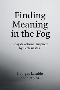 Finding Meaning in the Fog