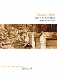 Près des abeilles (tp)