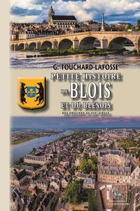 Petite histoire de Blois et du blesois des origines au XIXème siecle