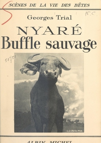 Nyaré, buffle sauvage