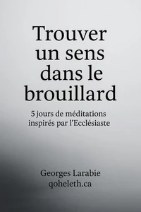Trouver un sens dans le brouillard