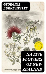 Native Flowers of New Zealand