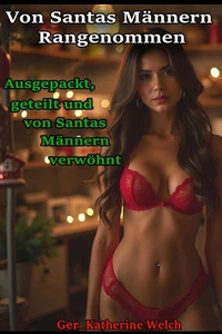 Von Santas Männern Rangenommen