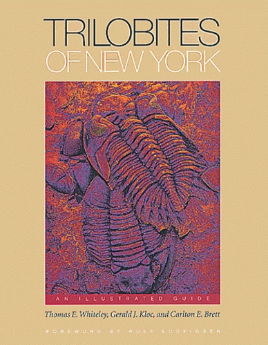 Gerald-J Kloc et Carlton-E Brett - Trilobites Of New York. An Illustred Guide.