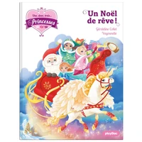 Un Noël de rêve !