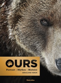 Ebooks à télécharger gratuitement pour j2ee Ours  - Portraits - Mythes - Histoire