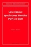 Gérard Bouyer - Les réseaux synchrones étendus PDH et SDH.