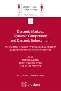 Dynamic Markets and Dynamic Enforcement
