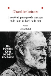 Livres en espagnol téléchargement gratuit Il ne rêvait plus que de paysages et de lions au bord de la mer