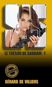 Gérard de Villiers - SAS 163 Le trésor de Saddam T1.