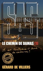 SAS 193 Le chemin de Damas T1