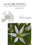 La flore photo, flore de France et des contrées limitrophes. Volume 1, Clés des familles