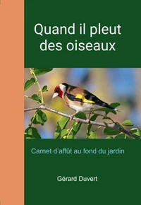 Quand il pleut des oiseaux